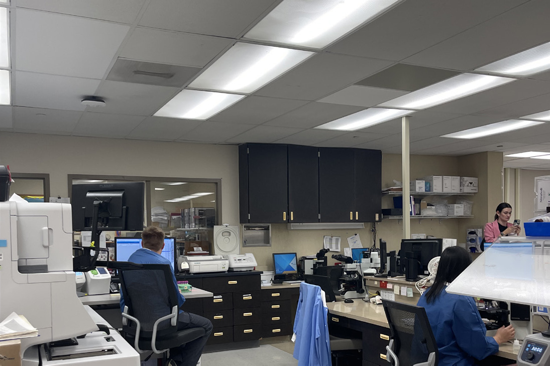 Hematology before renovation